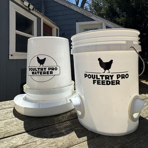 chicken-gravity-feeder-big-0