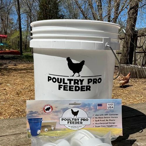 5-gallon-poultry-waterer-big-0