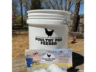 5-gallon-poultry-waterer-small-0