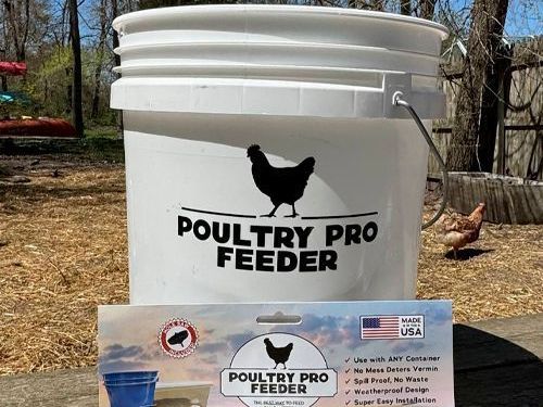 5-gallon-poultry-waterer