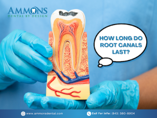 ammons-dental-by-design-summerville-small-1