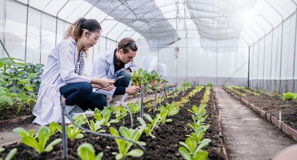 all-in-one-grower-management-software-for-greenhouse-operations-big-0