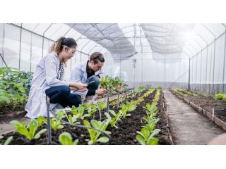 all-in-one-grower-management-software-for-greenhouse-operations-small-0