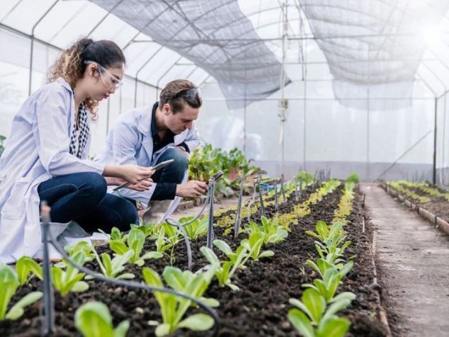 all-in-one-grower-management-software-for-greenhouse-operations