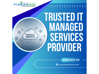 trusted-it-managed-services-provider-fusion-factor-corporation-small-0