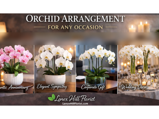 luxury-orchid-arrangements-in-nyc-small-0