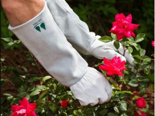 elbow-length-gardening-gloves-small-0