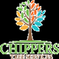 why-stump-grinding-is-important-after-tree-removal-big-0