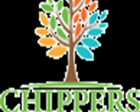 why-stump-grinding-is-important-after-tree-removal