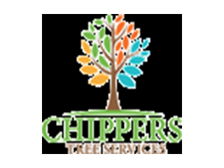 why-stump-grinding-is-important-after-tree-removal-small-0