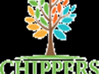 why-stump-grinding-is-important-after-tree-removal