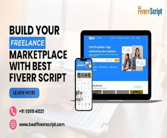 start-your-online-business-with-advanced-fiverr-clone-software-big-0