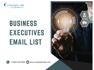 business-executives-email-list-for-b2b-outreach-small-0