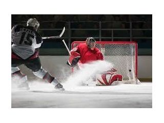 hockey-facility-management-software-small-0