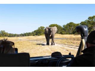 best-botswana-luxury-tours-for-high-end-safari-travel-small-0