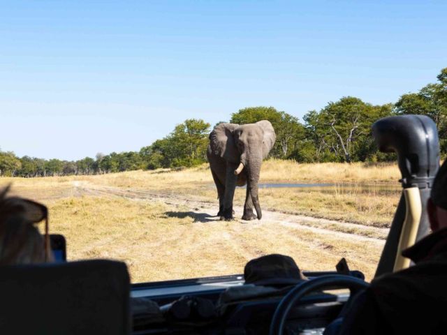best-botswana-luxury-tours-for-high-end-safari-travel