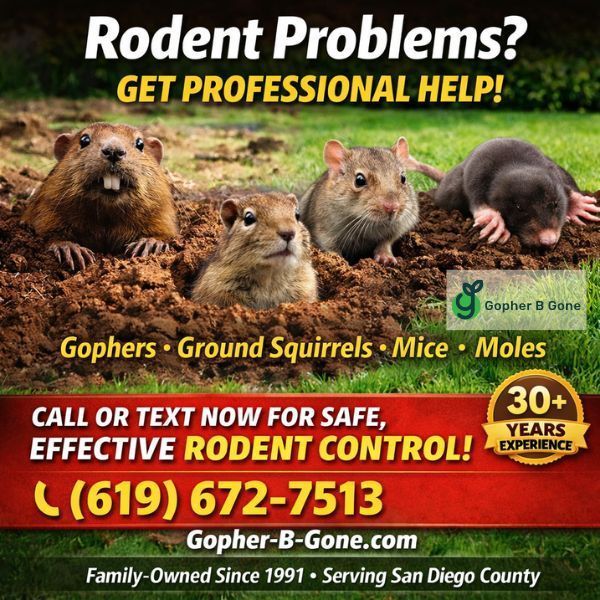 san-diego-gopher-rodent-control-trusted-since-1991-big-0