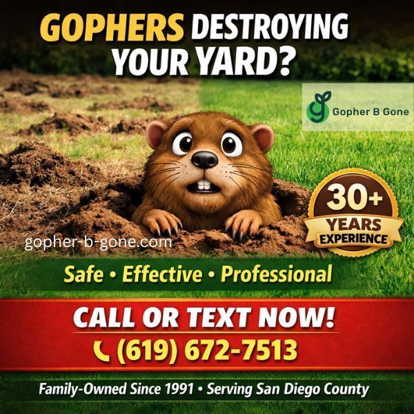 san-diego-gopher-rodent-control-trusted-since-1991-big-2