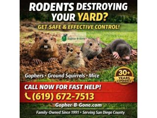 san-diego-gopher-rodent-control-trusted-since-1991-small-1