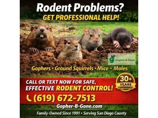 san-diego-gopher-rodent-control-trusted-since-1991-small-0