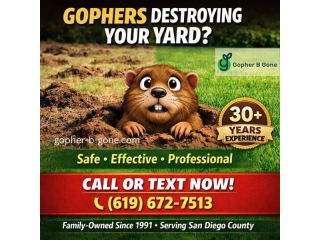 san-diego-gopher-rodent-control-trusted-since-1991-small-2