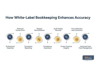 how-white-label-bookkeeping-improves-accuracy-and-efficiency-small-0