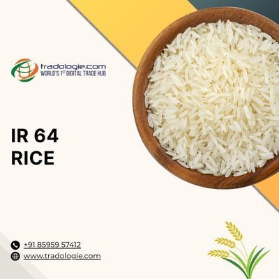 buy-ir-64-long-grain-rice-in-bulk-premium-quality-rice-big-0