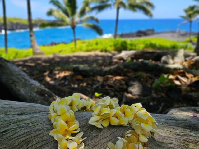 anniversary-trip-lei-greeting-maui-plumeria-lei-greetings