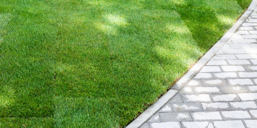 artificial-grass-installation-coppell-big-0