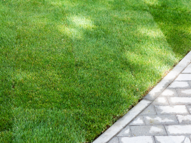 artificial-grass-installation-coppell