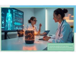 247-voice-assistant-for-patient-communication-small-0