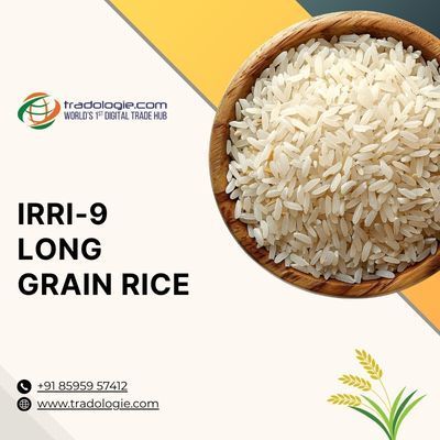 buy-irri-9-long-grain-rice-in-bulk-premium-non-basmati-big-0
