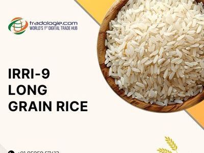 buy-irri-9-long-grain-rice-in-bulk-premium-non-basmati