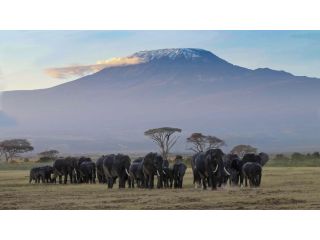 what-are-the-kenya-evisas-types-its-criterias-application-steps-small-0