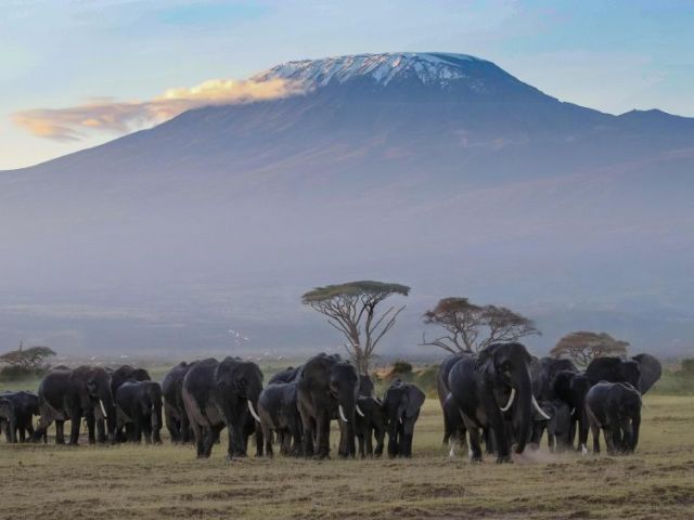 what-are-the-kenya-evisas-types-its-criterias-application-steps