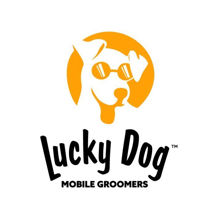 lucky-dog-mobile-groomers-manhattan-ny-big-0