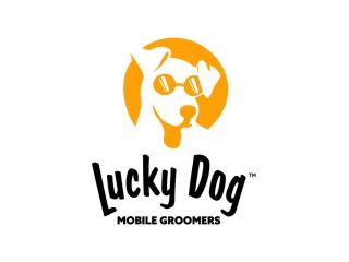 lucky-dog-mobile-groomers-manhattan-ny-small-0