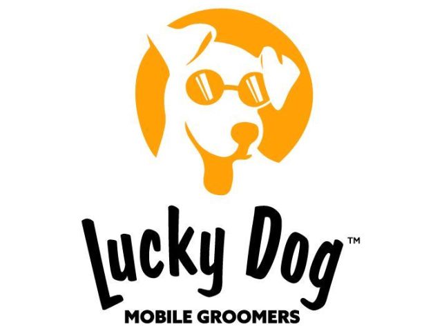 lucky-dog-mobile-groomers-manhattan-ny