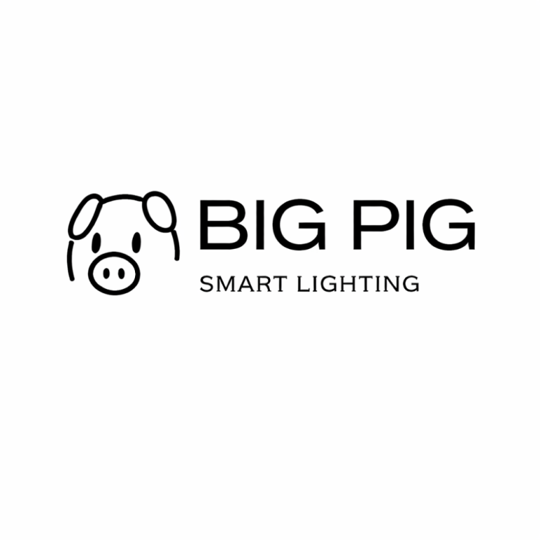 best-permanent-outdoor-lights-big-0