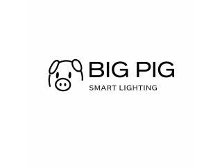best-permanent-outdoor-lights-small-0