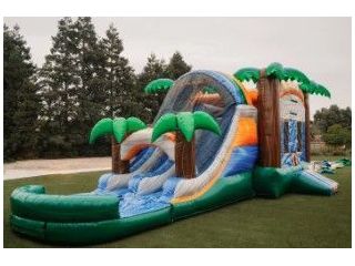 water-slide-jumpers-in-modesto-ca-small-0