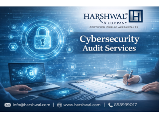 cybersecurity-audit-services-to-reduce-business-risk-small-0