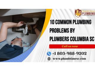 10-common-plumbing-problems-by-plumbers-columbia-sc-small-0
