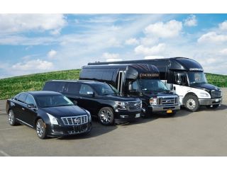 affordable-binghamton-ny-party-buses-for-events-and-groups-small-0