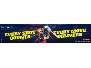 cricash24-exclusive-sports-insights-platform-small-1