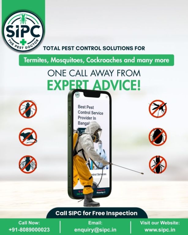 effective-termite-control-madurai-by-sipc-big-0