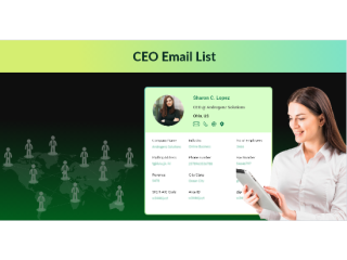 verified-us-ceo-email-list-for-executive-decision-outreach-small-0