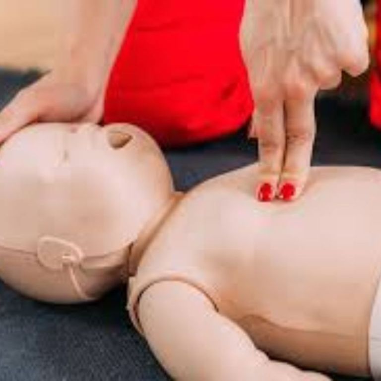 professional-aha-classes-in-florida-for-every-learner-big-0