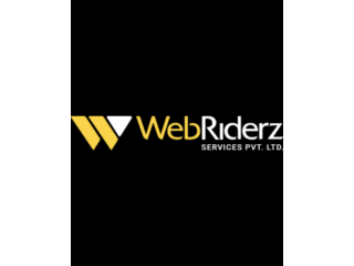 hire-wordpress-developer-webriderz-small-0