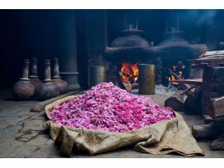 kannauj-perfume-wholesale-small-0